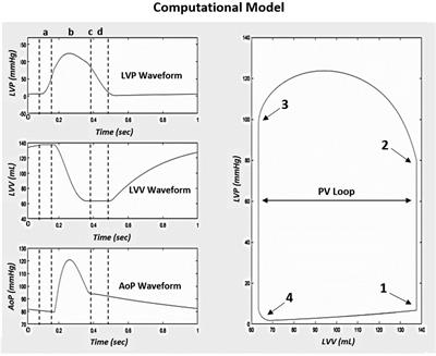 Evaluation of vascular aging on measures of cardiac function and mechanical efficiency: insights from in-silico modeling